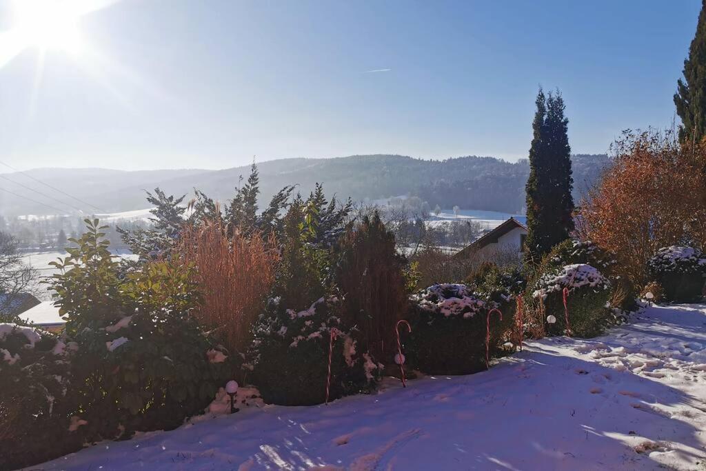 Chalet Bambi Blaibach Exterior photo